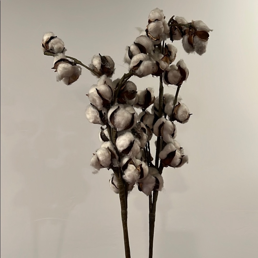 Decorative cotton